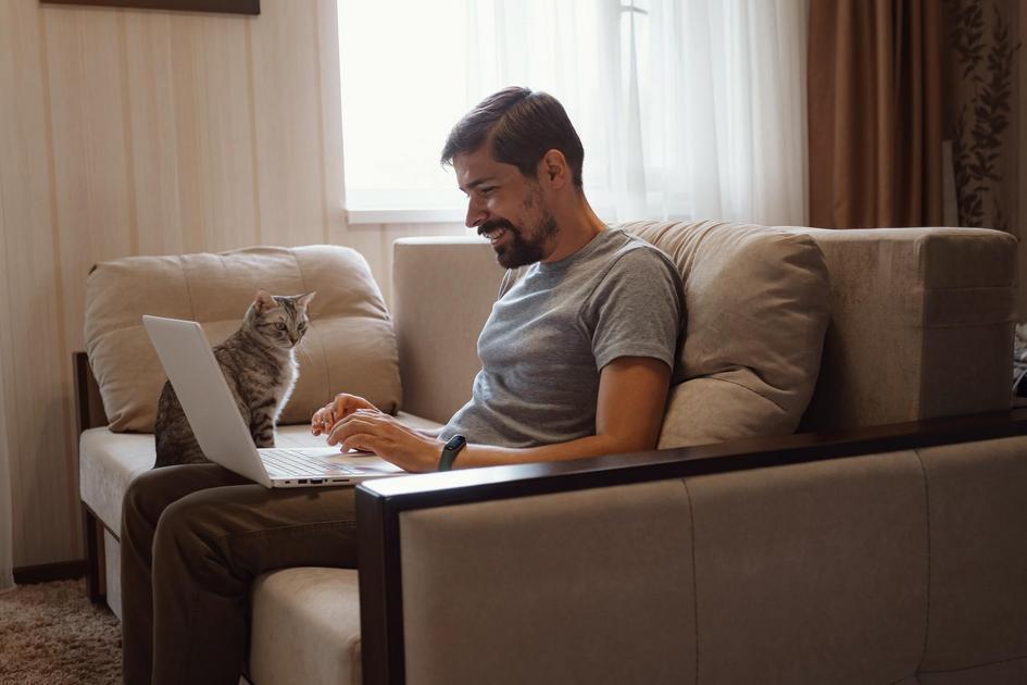 Trabalhando com Planilhas: Células, Linhas e Colunas Explicadas